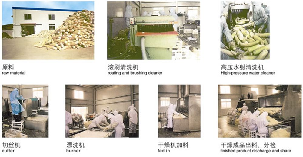 1616661291117374.jpg c.jpg